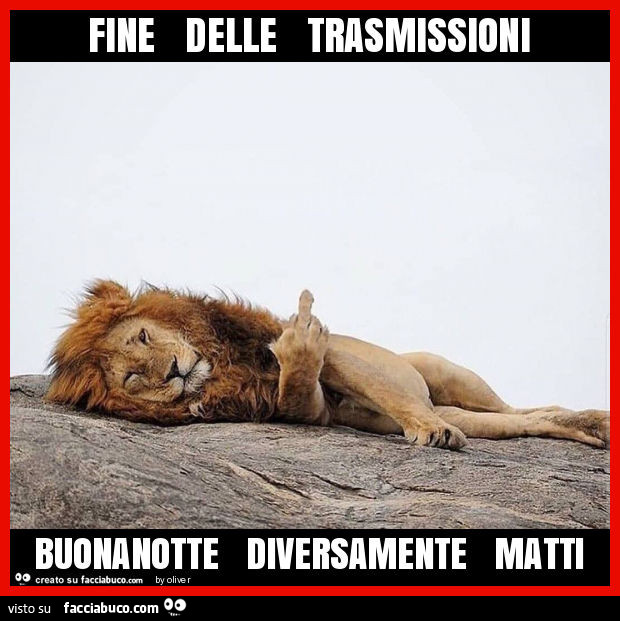 Fine delle trasmissioni buonanotte diversamente matti
