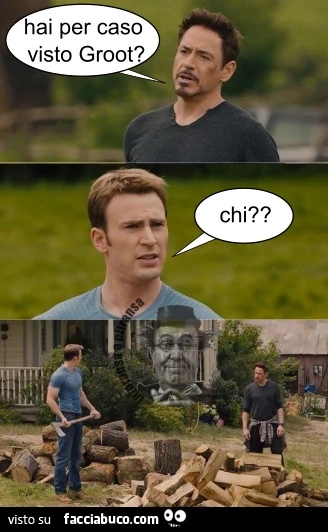 HAI PER CASO VISTO GROOT?