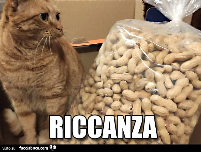 Papuc con sacco di arachidi. Riccanza