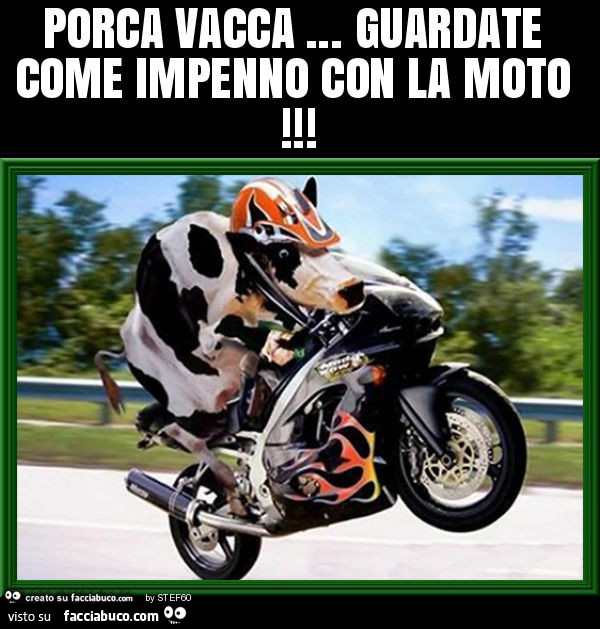Porca vacca… guardate come impenno con la moto