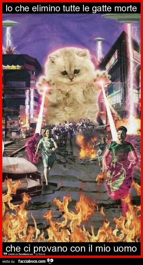 Io che elimino tutte le gatte morte che ci provano con il mio uomo