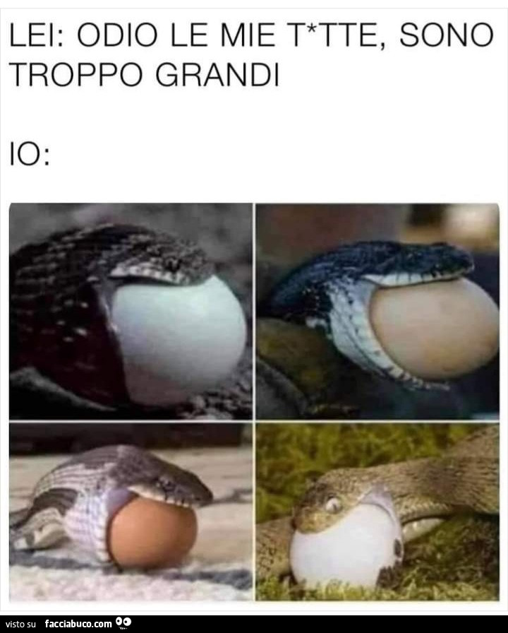 Lei odio le mie tette sono troppo grandi io