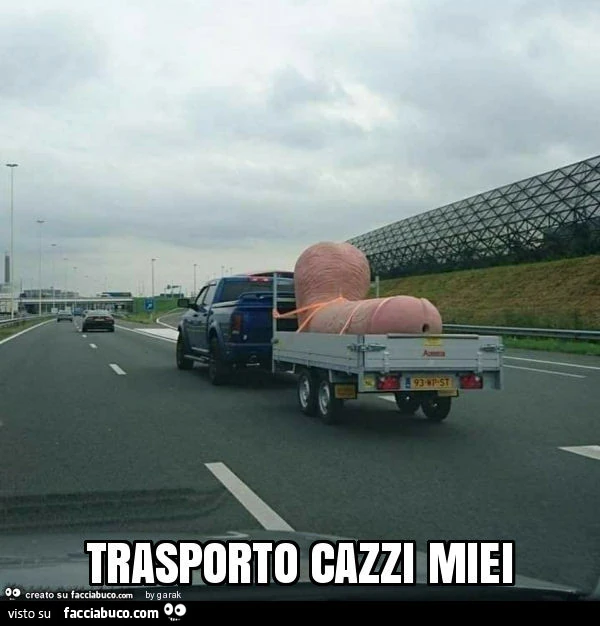 Trasporto cazzi miei