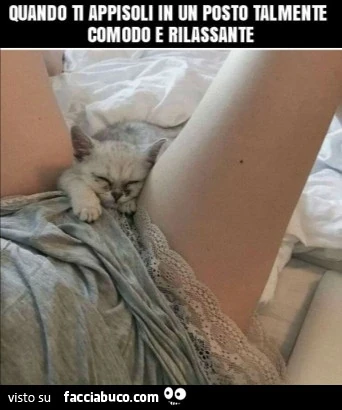 Appisoli