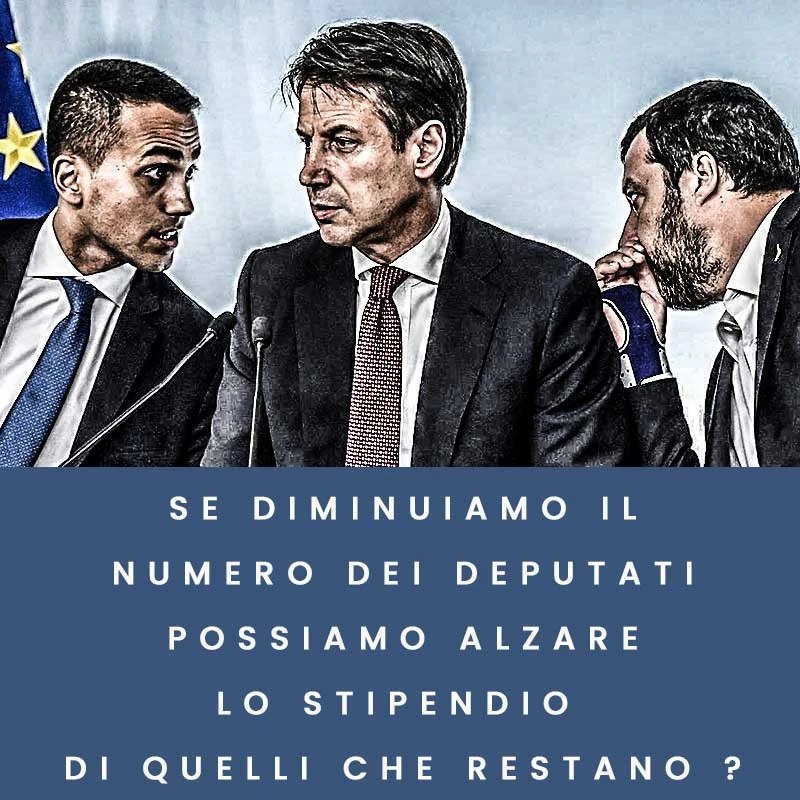 Aspetti del referendum