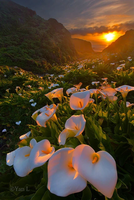 Tramonto