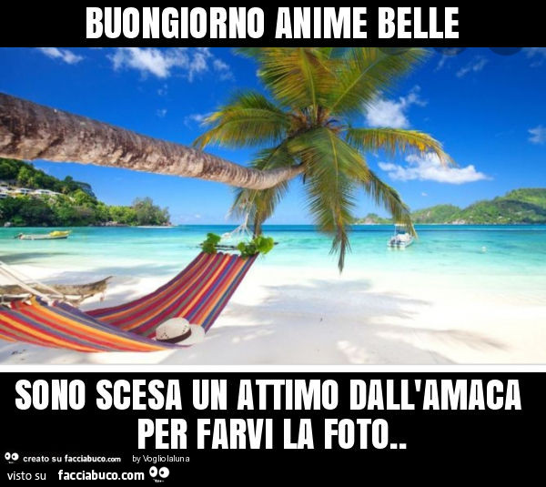 Buongiorno anime belle sono scesa un attimo dall'amaca per farvi la foto
