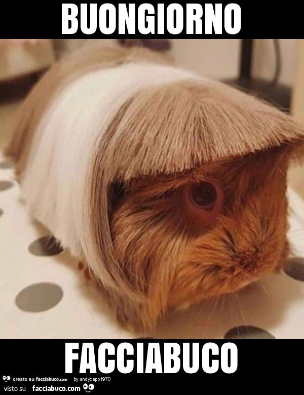 Buongiorno facciabuco
