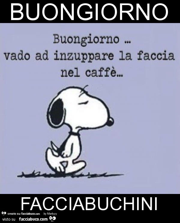 Buongiorno facciabuchini
