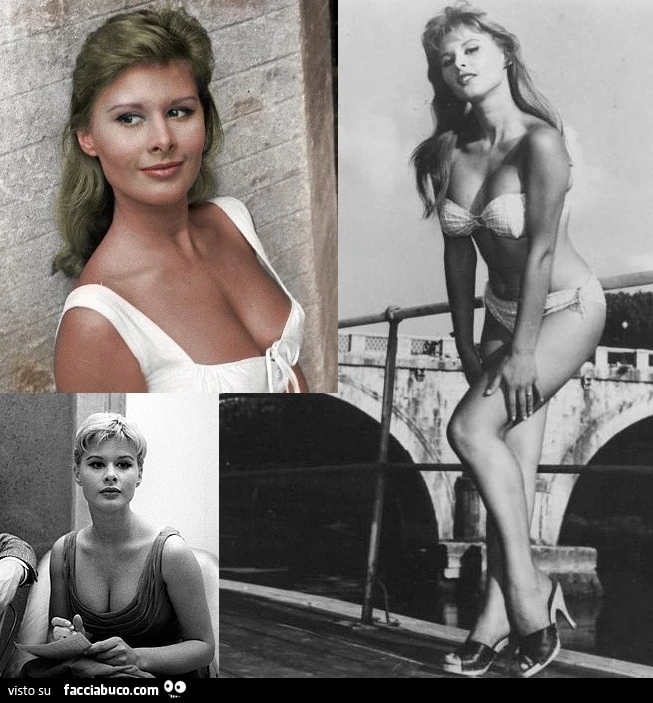 TIMELESS DIVAS