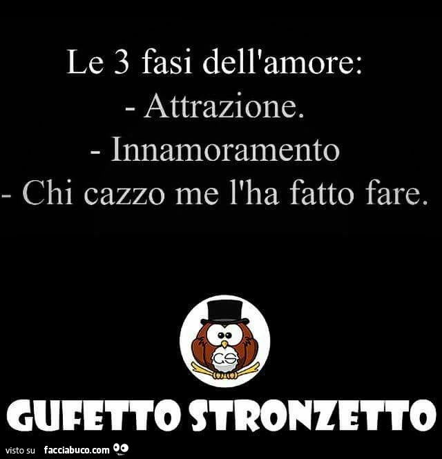 Le 3 fasi dell'amore: attrazione. Innamoramento chi cazzo me l'ha fatto fare