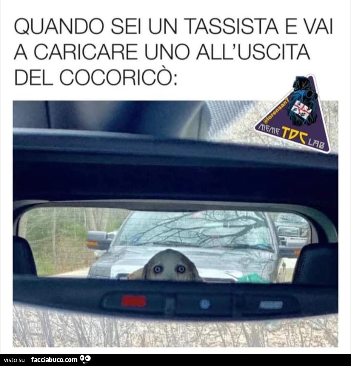 Quando sei un tassista e vai a caricare uno all'uscita del cocorico