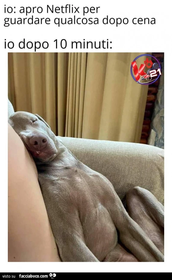 Vaccata