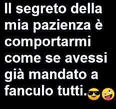 Il segreto della mia pazienza è comportarmi come se avessi già mandato a fanculo tutti