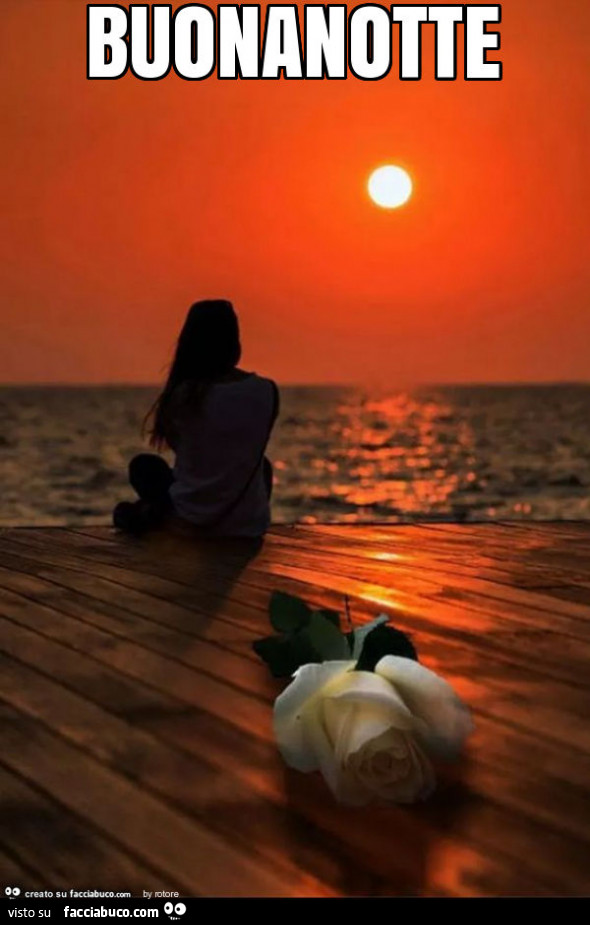 Rosa bianca al tramonto. Buonanotte
