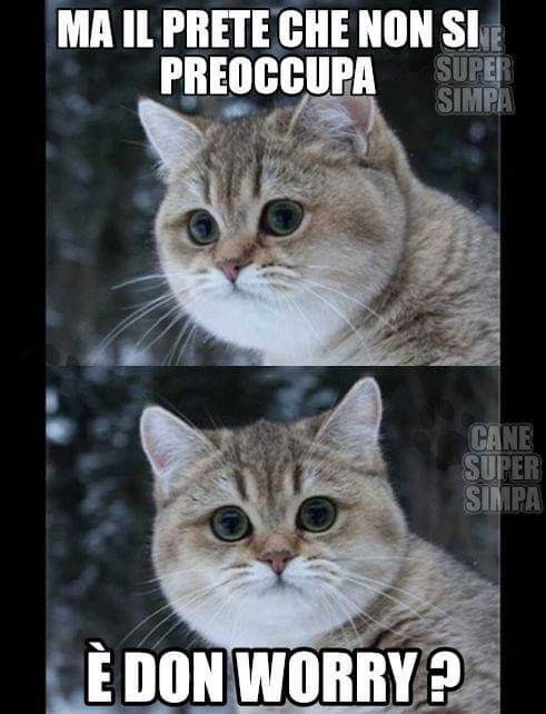 Gatti che fanno battute