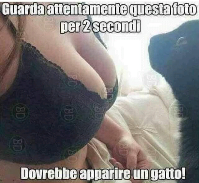 Magia delle tette