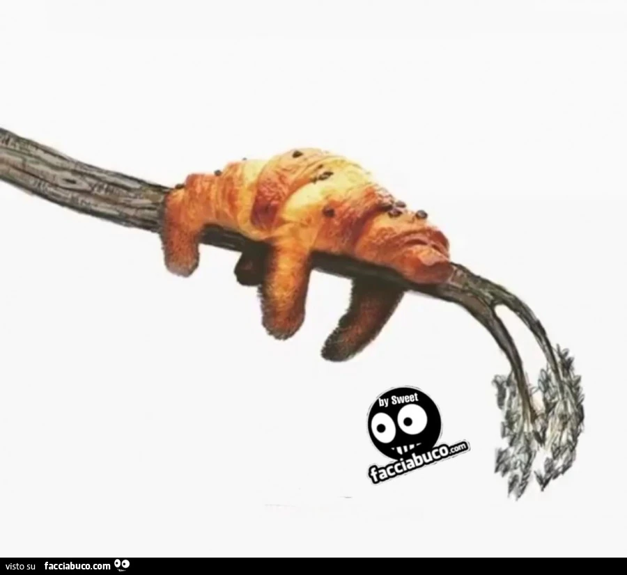 Cornetto dorme sull'albero