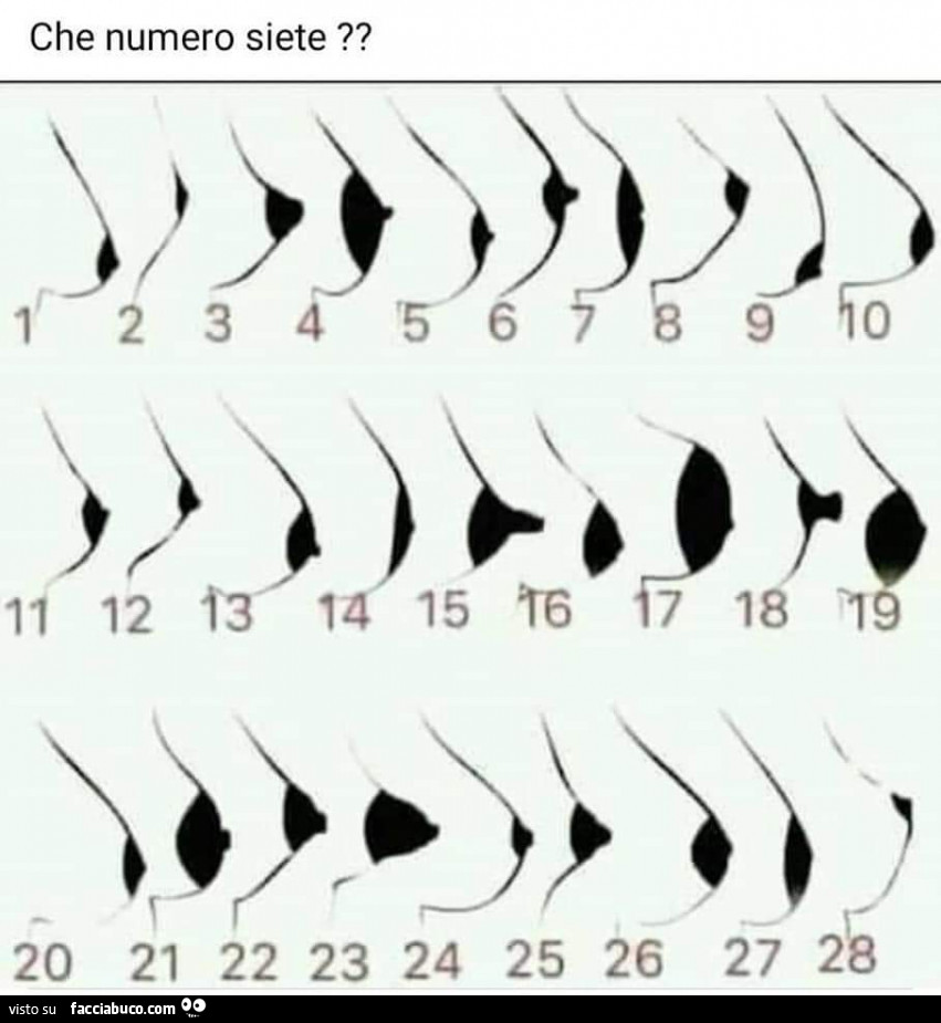 Forme di seno e capezzolo. Che numero siete?