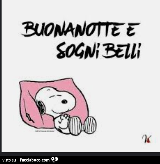 Buonanotte e sogni belli. Snoopy