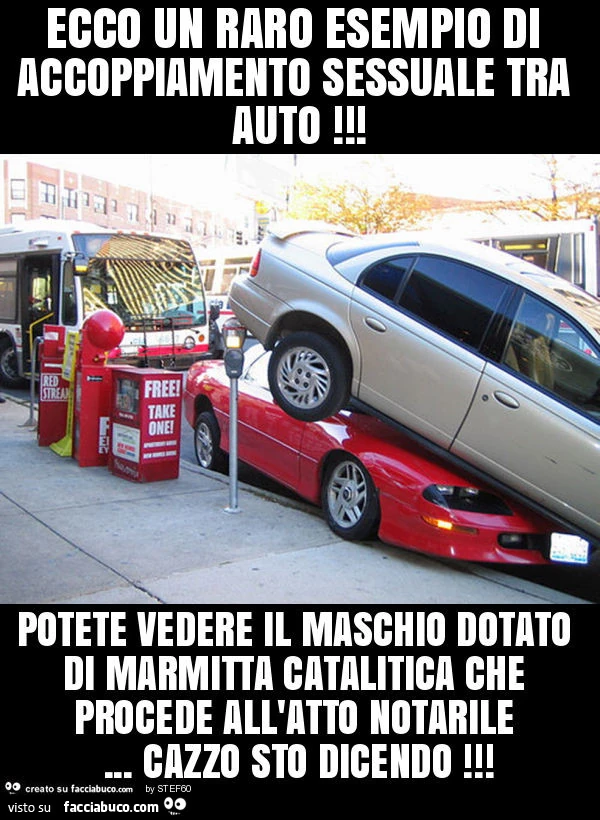 Ecco un raro esempio di accoppiamento sessuale tra auto! Potete vedere il maschio dotato di marmitta catalitica che procede all'atto notarile&hellip; cazzo sto dicendo