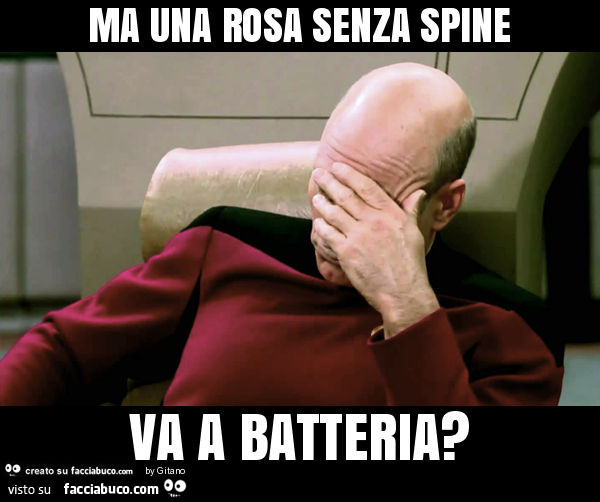 Ma una rosa senza spine va a batteria?