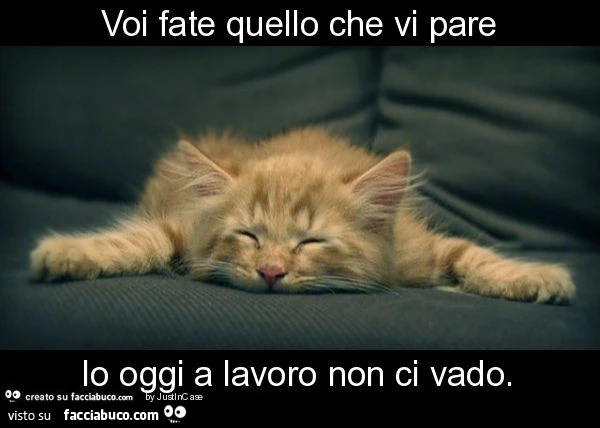 Voi fate quello che vi pare io oggi a lavoro non ci vado