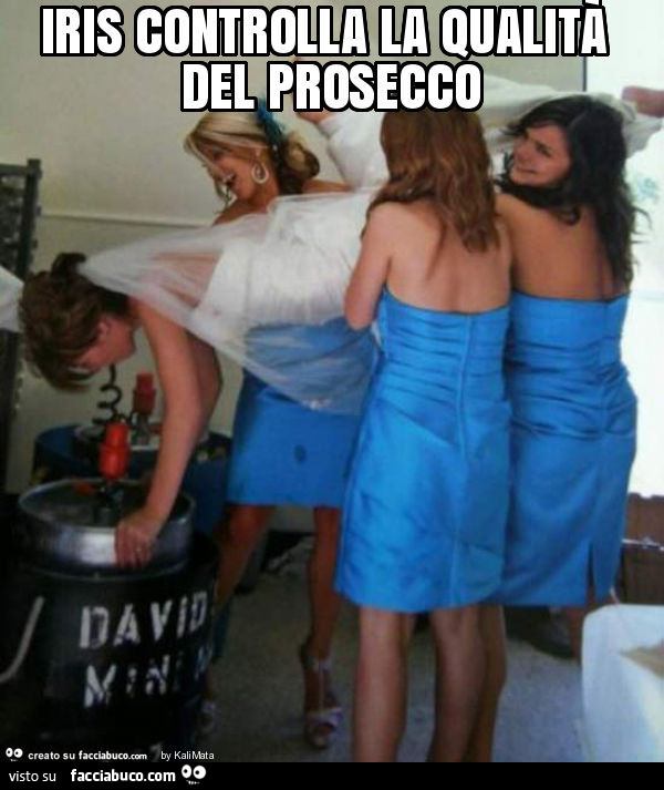 Zerbino in cocco Qui solo il prosecco fanculo il prosek con Meme