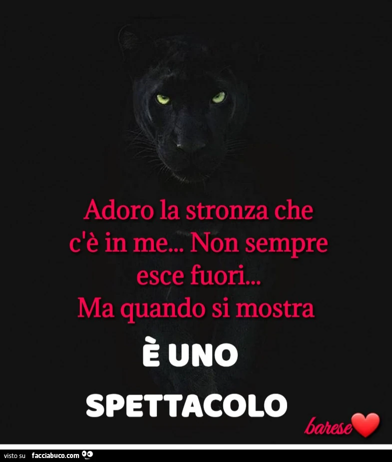 Adoro la stronza che c'è in me… non sempre esce fuori… ma quando si mostra è uno spettacolo