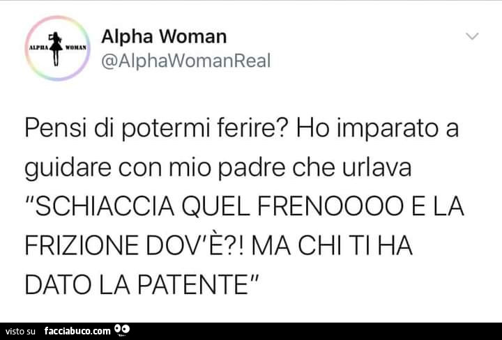 Pensi di potermi ferire? Ho imparato a guidare con mio padre che urlava schiaccia quel frenoooo e la frizione dov'è?! Ma chi ti ha dato la patente