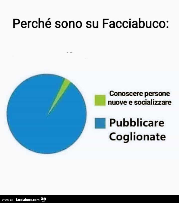 Perché sono su Facciabuco. Conoscere persone nuove e socializzare. Pubblicare coglionate