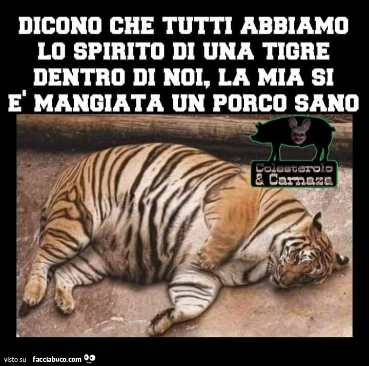 Dicono che tutti abbiamo lo spirito di una tigre