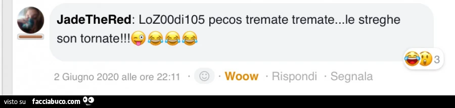 Vaccata
