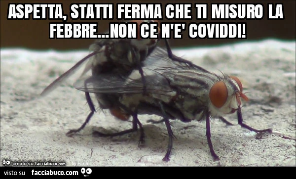 Aspetta, statti ferma che ti misuro la febbre&hellip; non ce n'è coviddi
