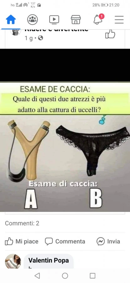 Vaccata