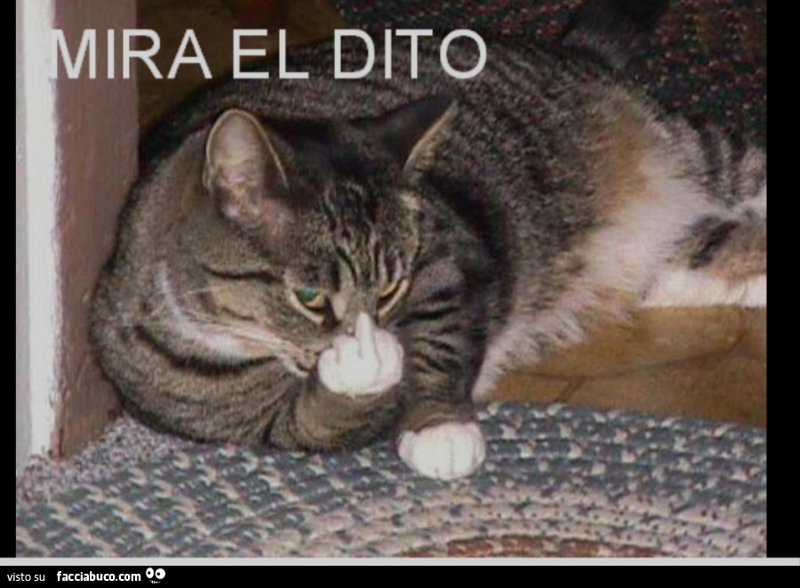 Mira El dito