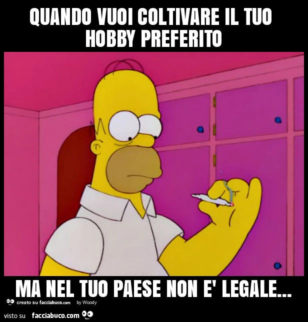 Quando vuoi coltivare il tuo hobby preferito ma nel tuo paese non è legale