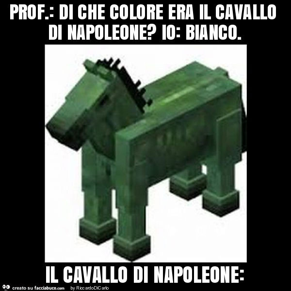 Prof. : Di che colore era il cavallo di napoleone? Io: bianco. Il cavallo di napoleone