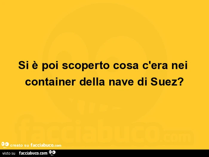 Si è poi scoperto cosa c'era nei container della nave di suez?