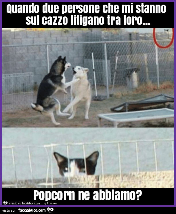 Quando due persone che mi stanno sul cazzo litigano tra loro… popcorn ne abbiamo?