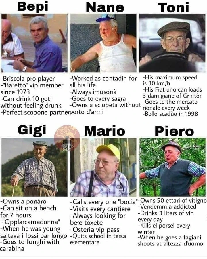 Pensionati Veneti
