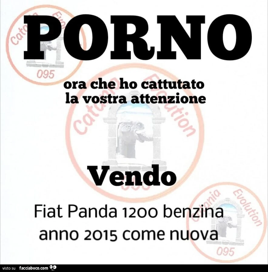 Porno. Ora che ho catturato la vostra attenzione vendo fiat panda 1200 benzina anno 2015 come nuova