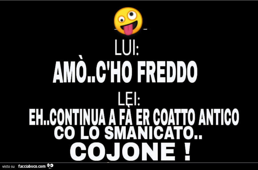 Lui: amò c'ho freddo. Lei: eh… continua a fa er coatto antico co lo smanicato. Cojone