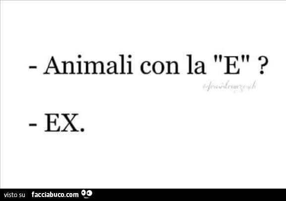 Animali con la e? Ex