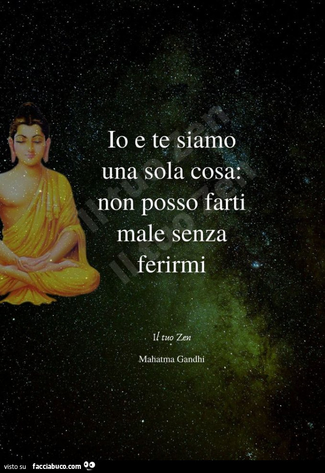 Io e te siamo una sola cosa. Non posso farti male senza ferirmi. Mahatma Gandhi