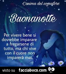 Buonanotte. Per vivere bene si dovrebbe imparare a fregarsene di tutto, ma chi vive con il cuore non imparerà mai