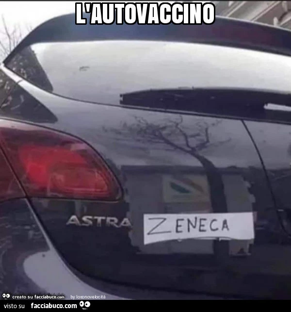 L'autovaccino