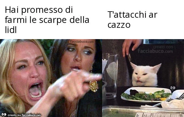 Hai promesso di farmi le scarpe della lidl. T'attacchi ar cazzo