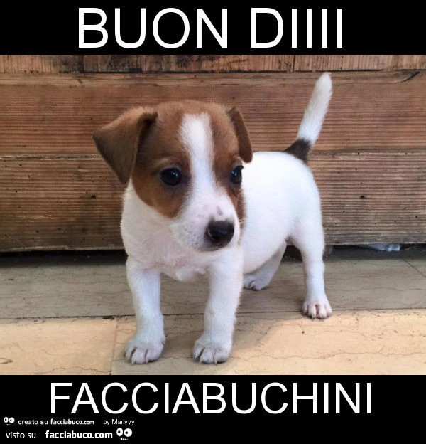 Buon diiii facciabuchini