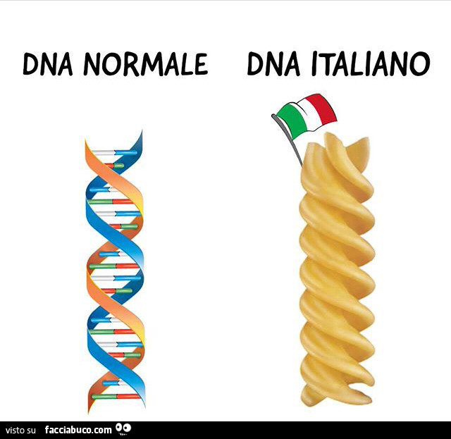 DNA normale. DNA Italiano